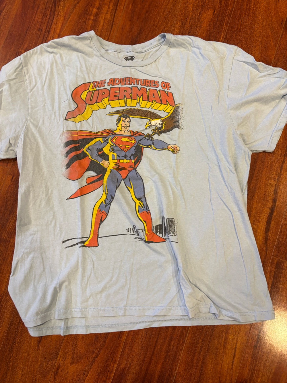 DC Comics Superman Graphic Tee in Light Blue